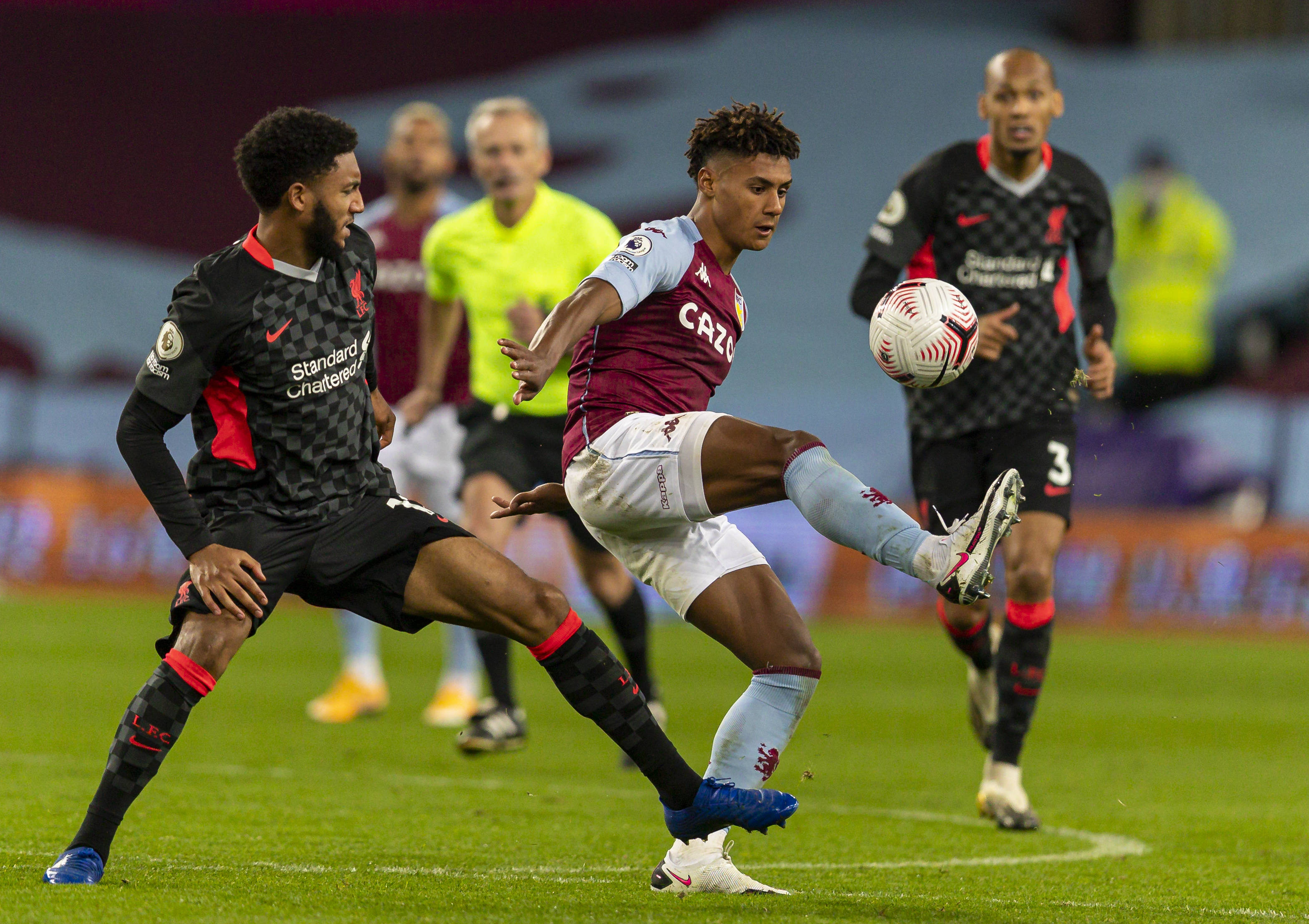 可以发现柏 可以发现柏